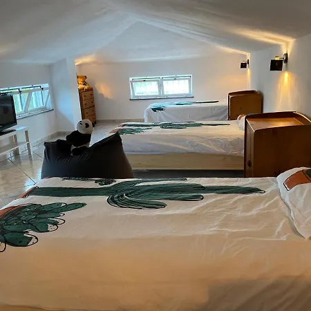 Casa Tin Tin * Монкарапашу